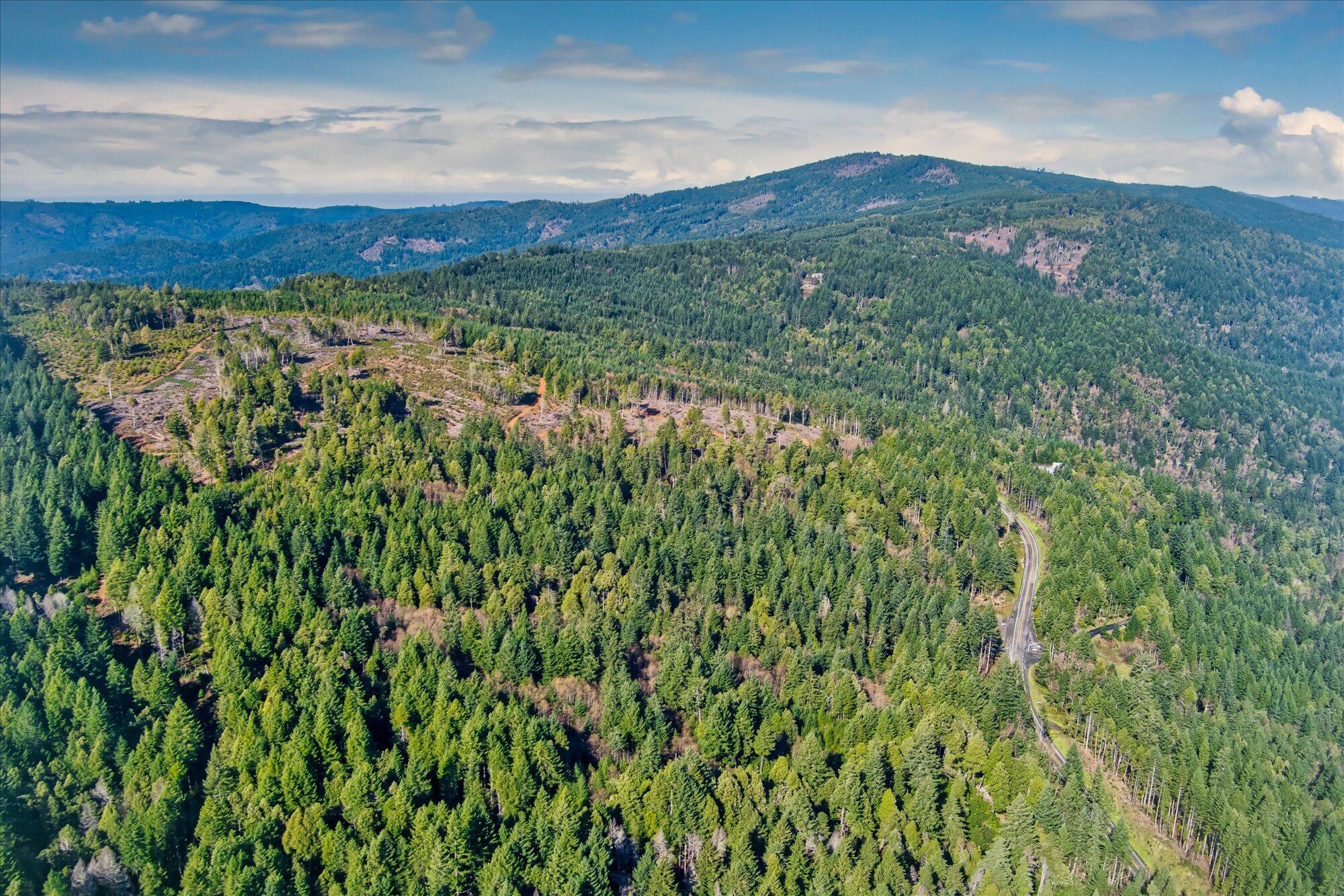 19000 Hwy 299