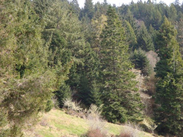 0 Berta Road