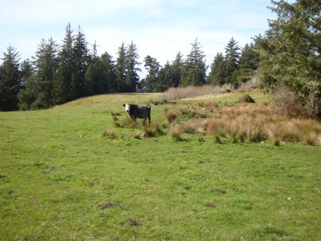 0 Berta Road