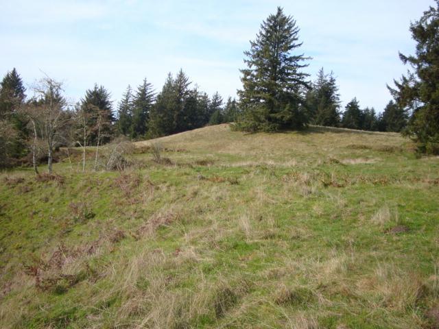 0 Berta Road