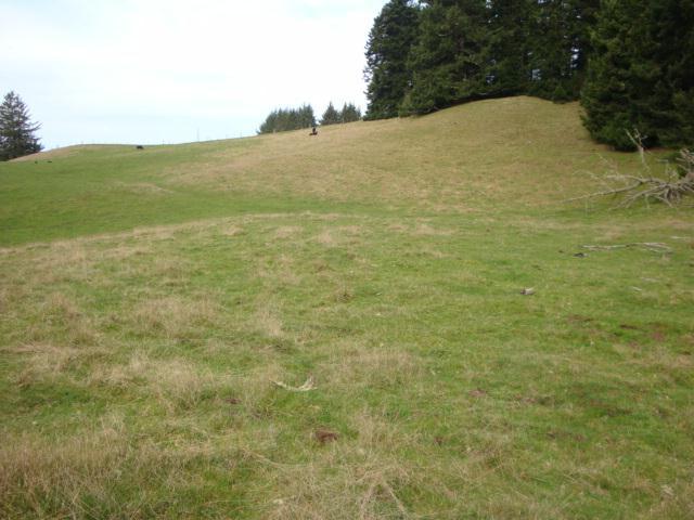 0 Berta Road