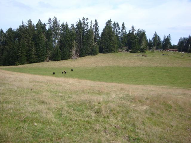 0 Berta Road