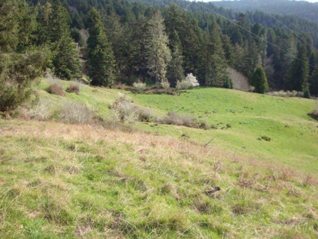 0 Berta Road