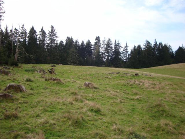 0 Berta Road