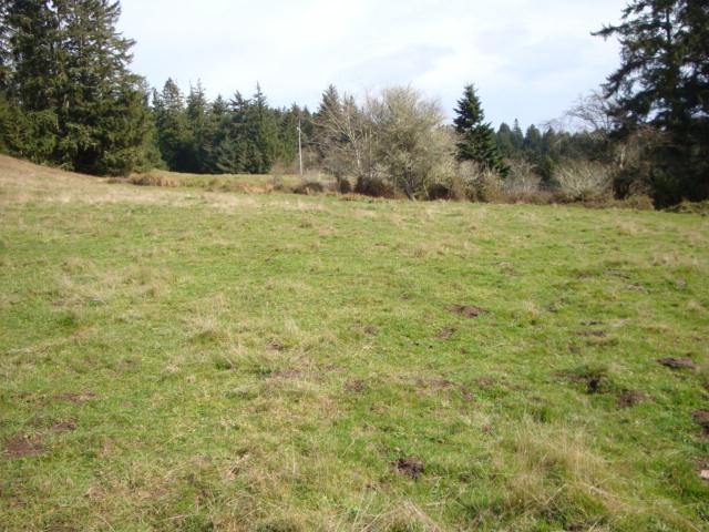 0 Berta Road