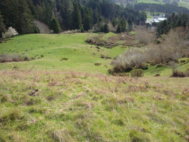 0 Berta Road