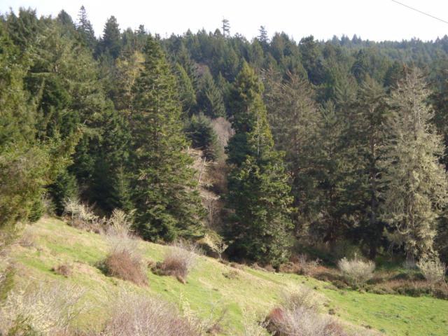 0 Berta Road