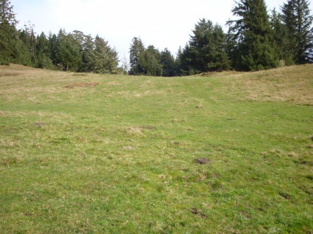 0 Berta Road
