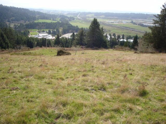 0 Berta Road