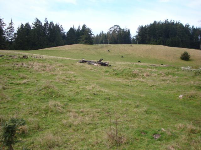 0 Berta Road