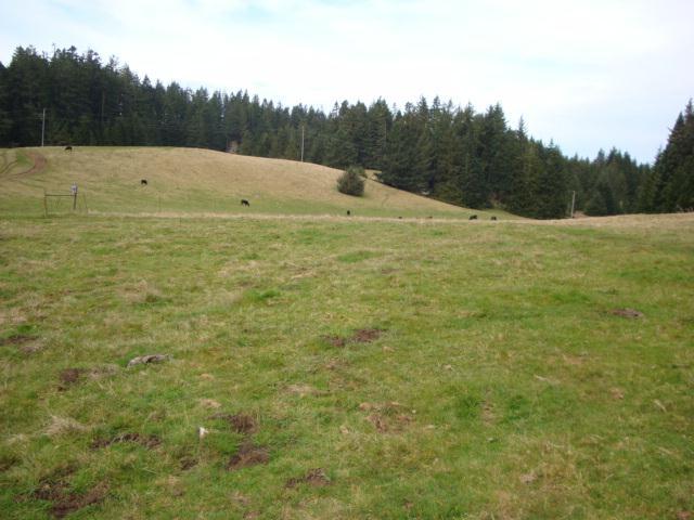 0 Berta Road