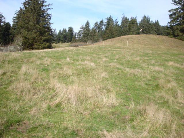 0 Berta Road