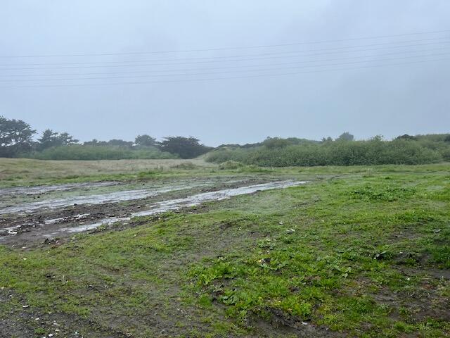 150 Stamps Lane
