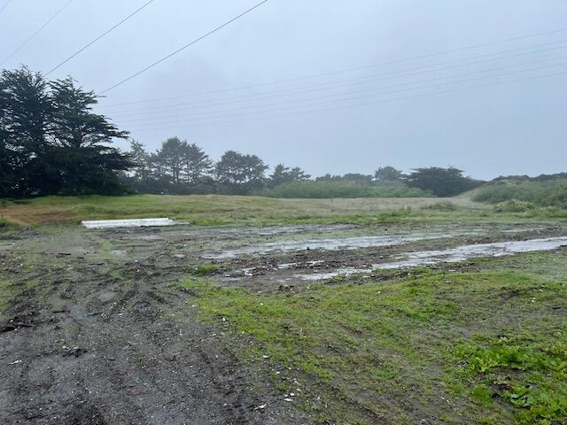 150 Stamps Lane