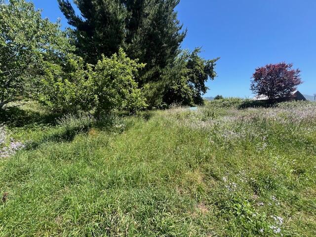 6863 Rohnerville Road