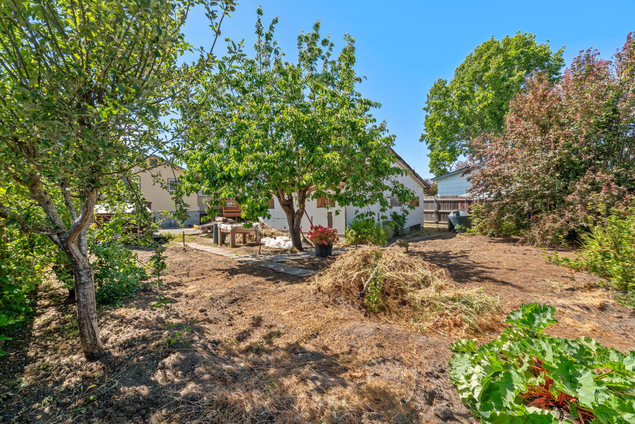 654 Rigby Avenue