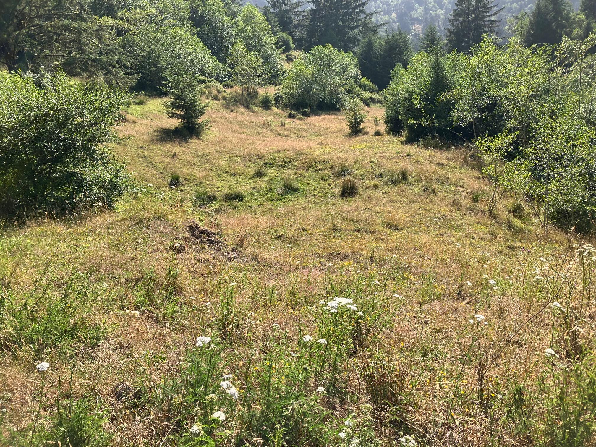 0 Mattole Road