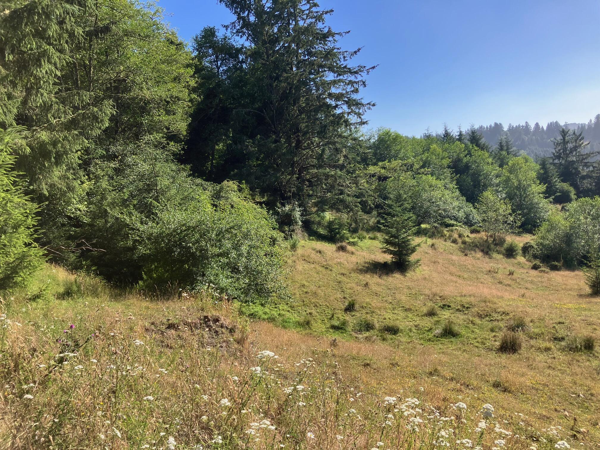 0 Mattole Road