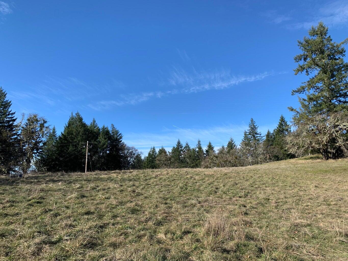 1501 Tim Mullen Road