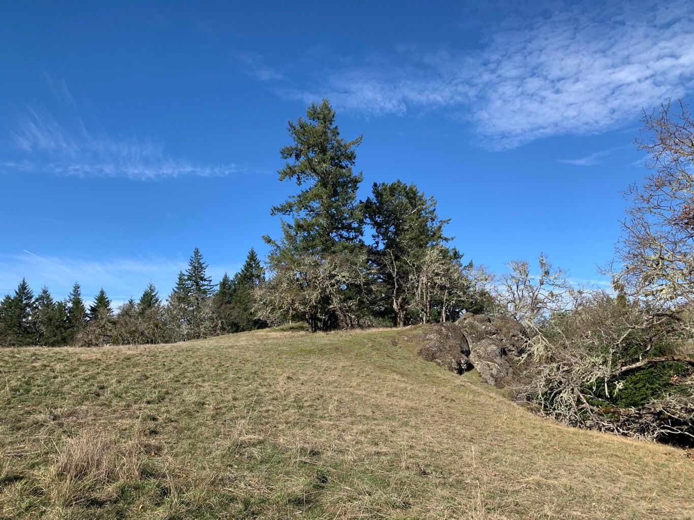 1501 Tim Mullen Road