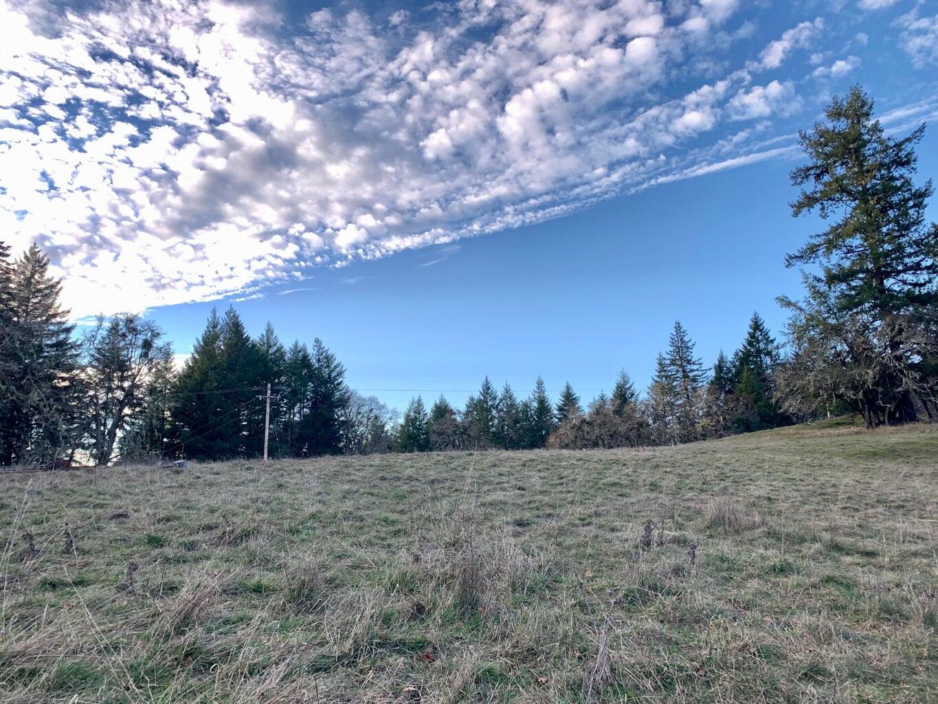 1501 Tim Mullen Road