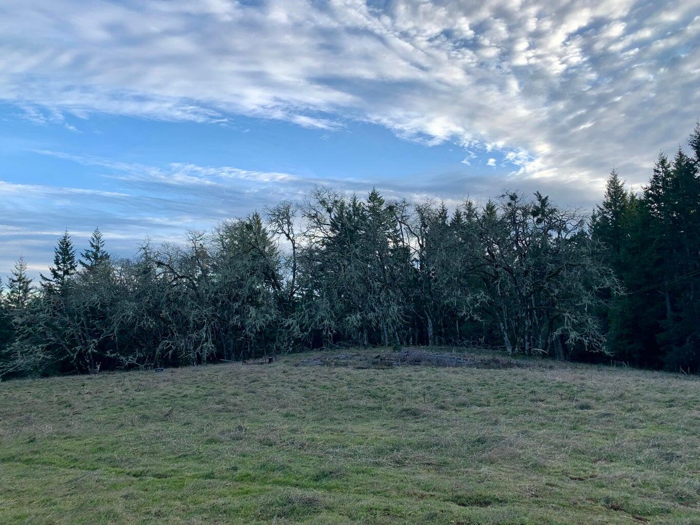 1501 Tim Mullen Road