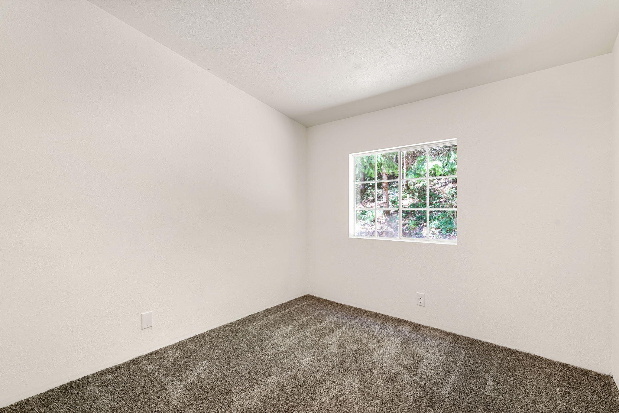 646 Sequoia Road