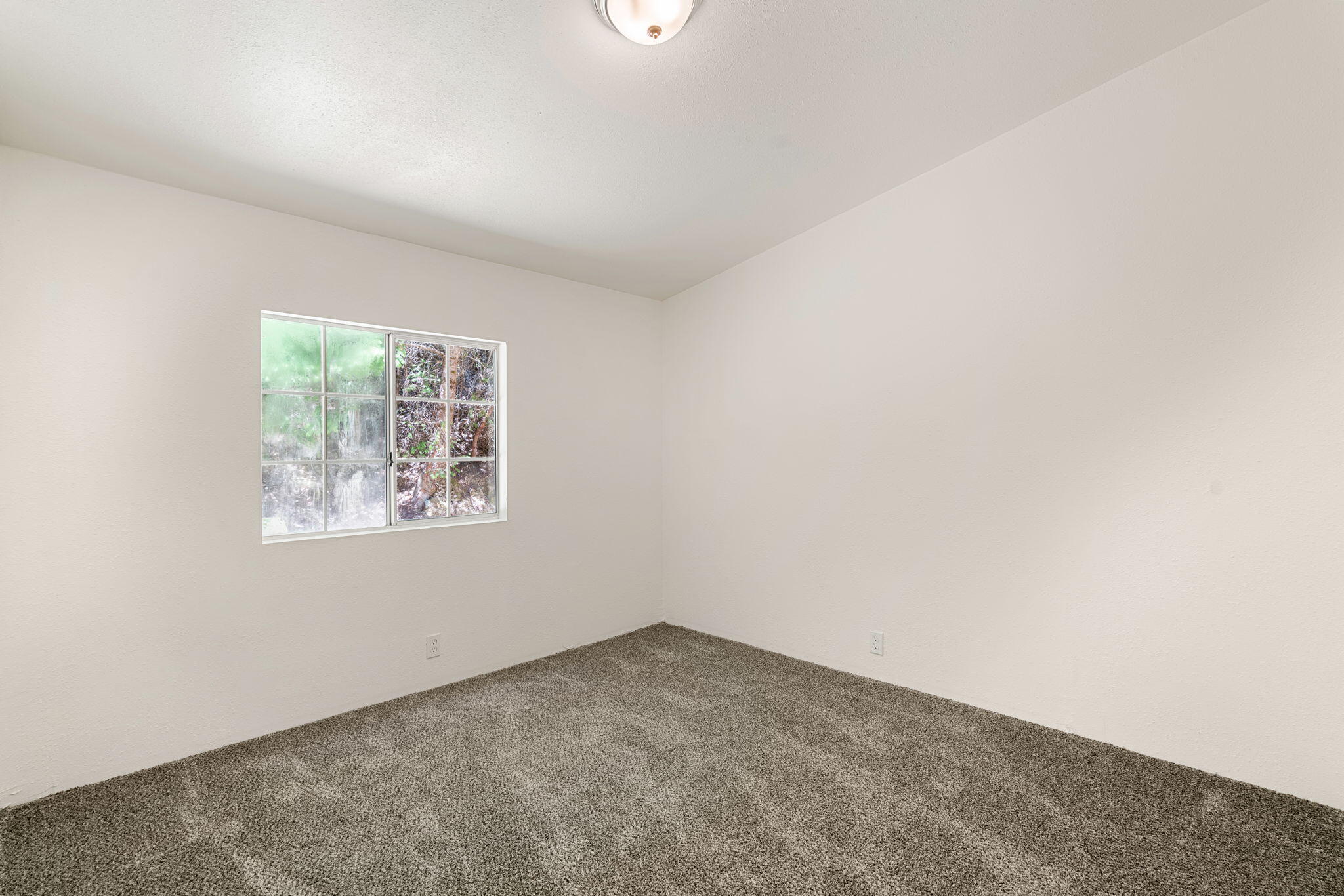 646 Sequoia Road