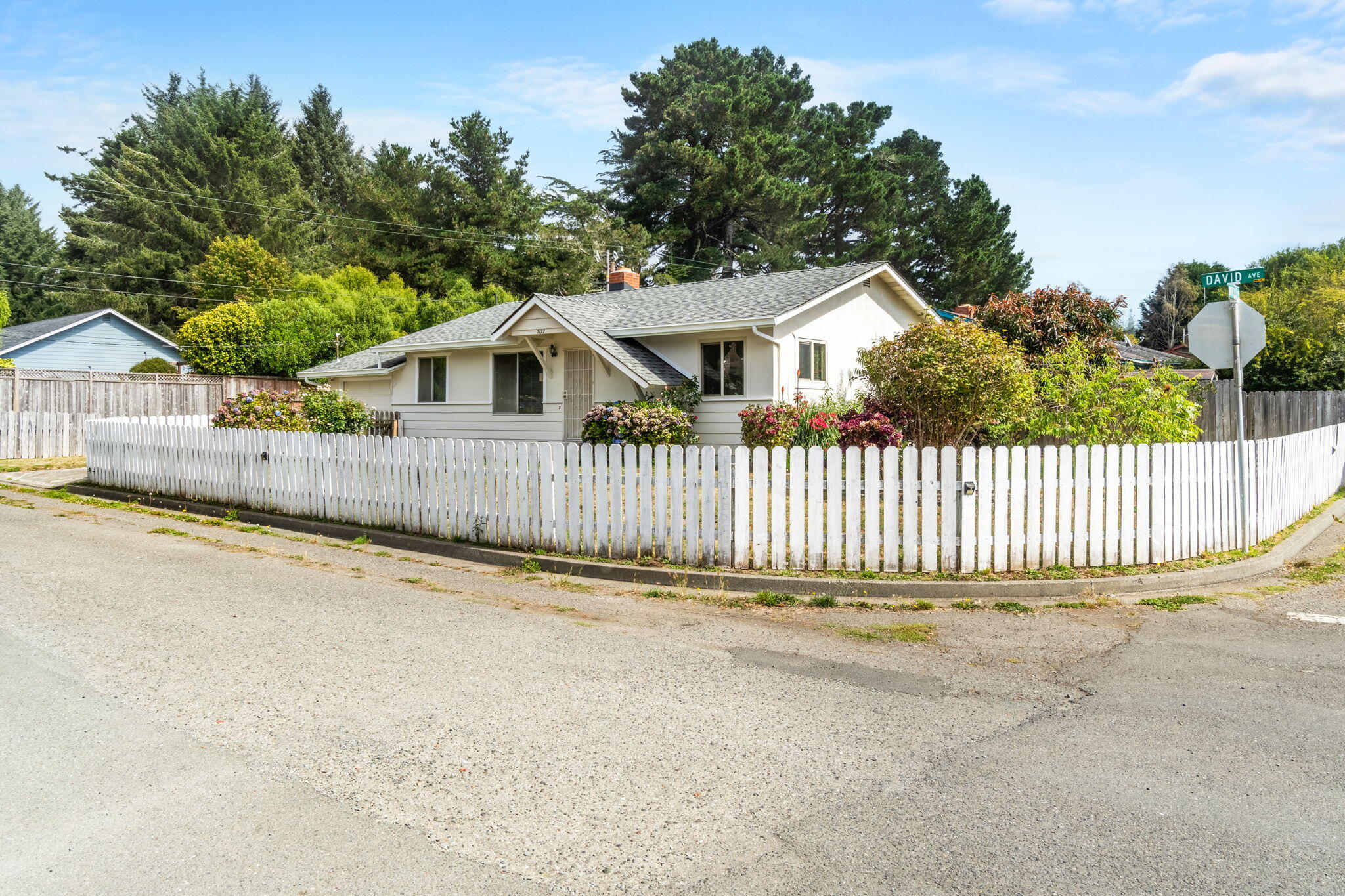 7177 David Avenue
