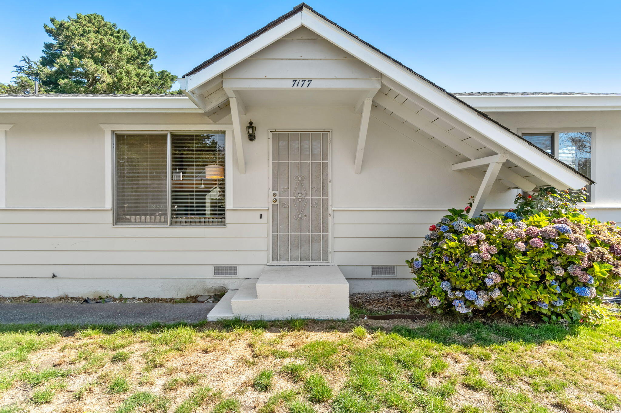 7177 David Avenue