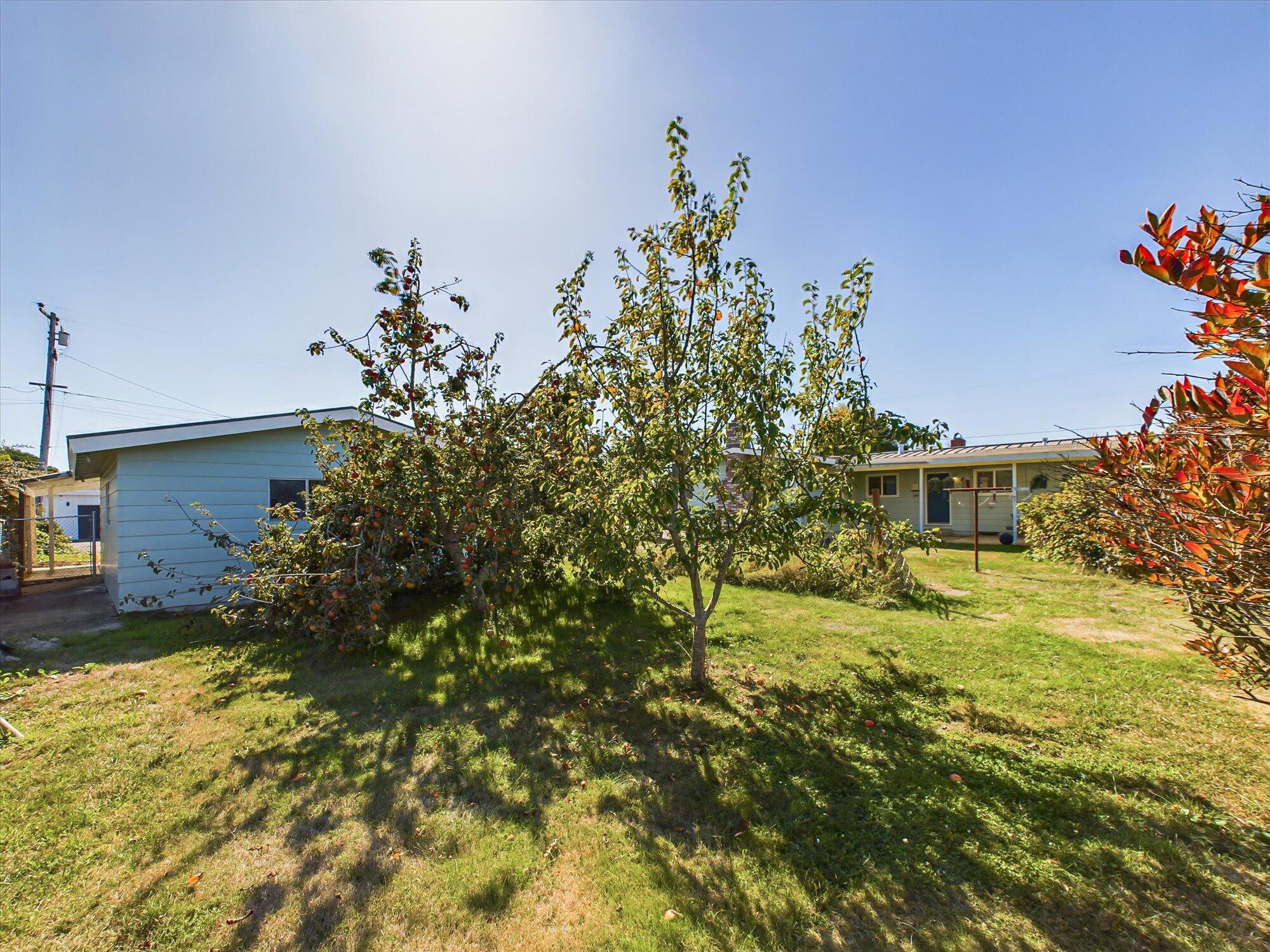 2167 Grace Avenue, McKinleyville