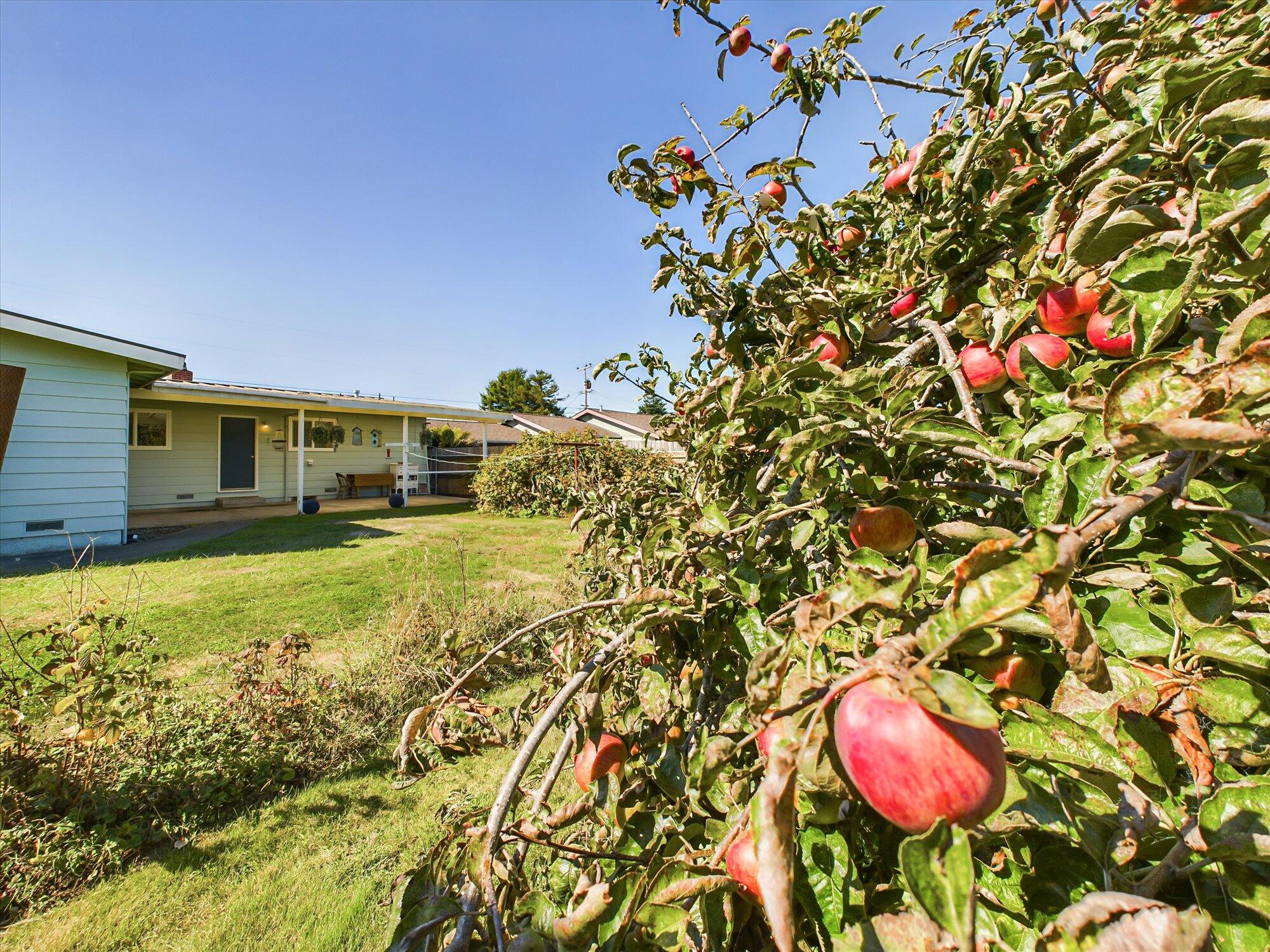 2167 Grace Avenue, McKinleyville