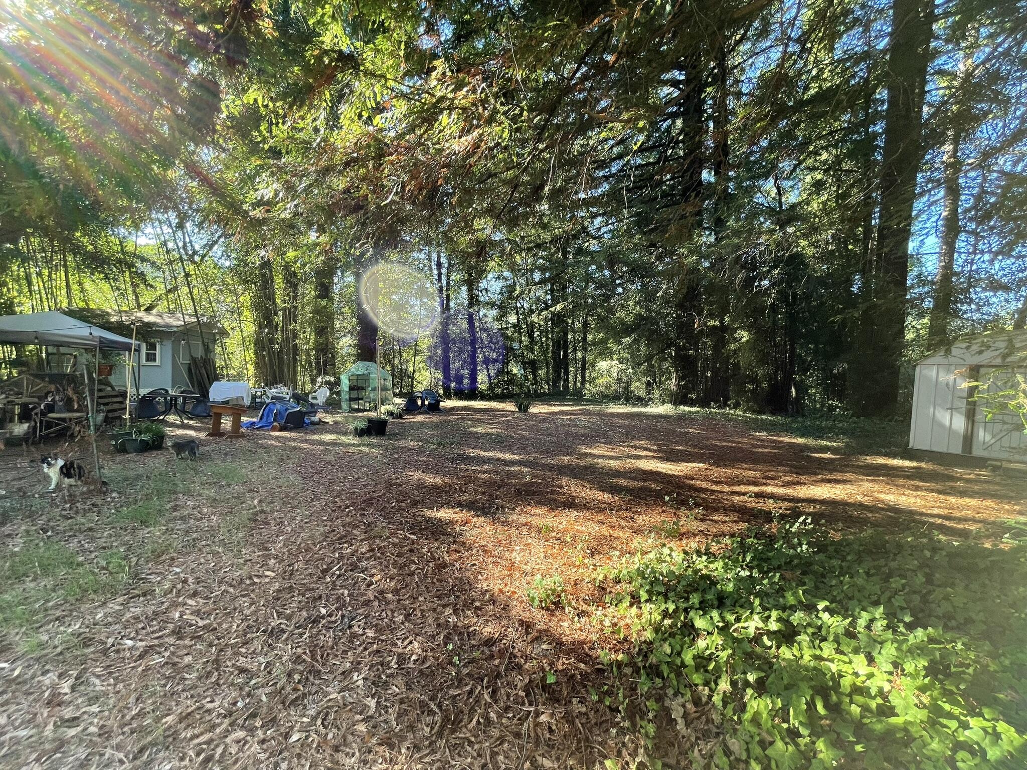 75 River Road