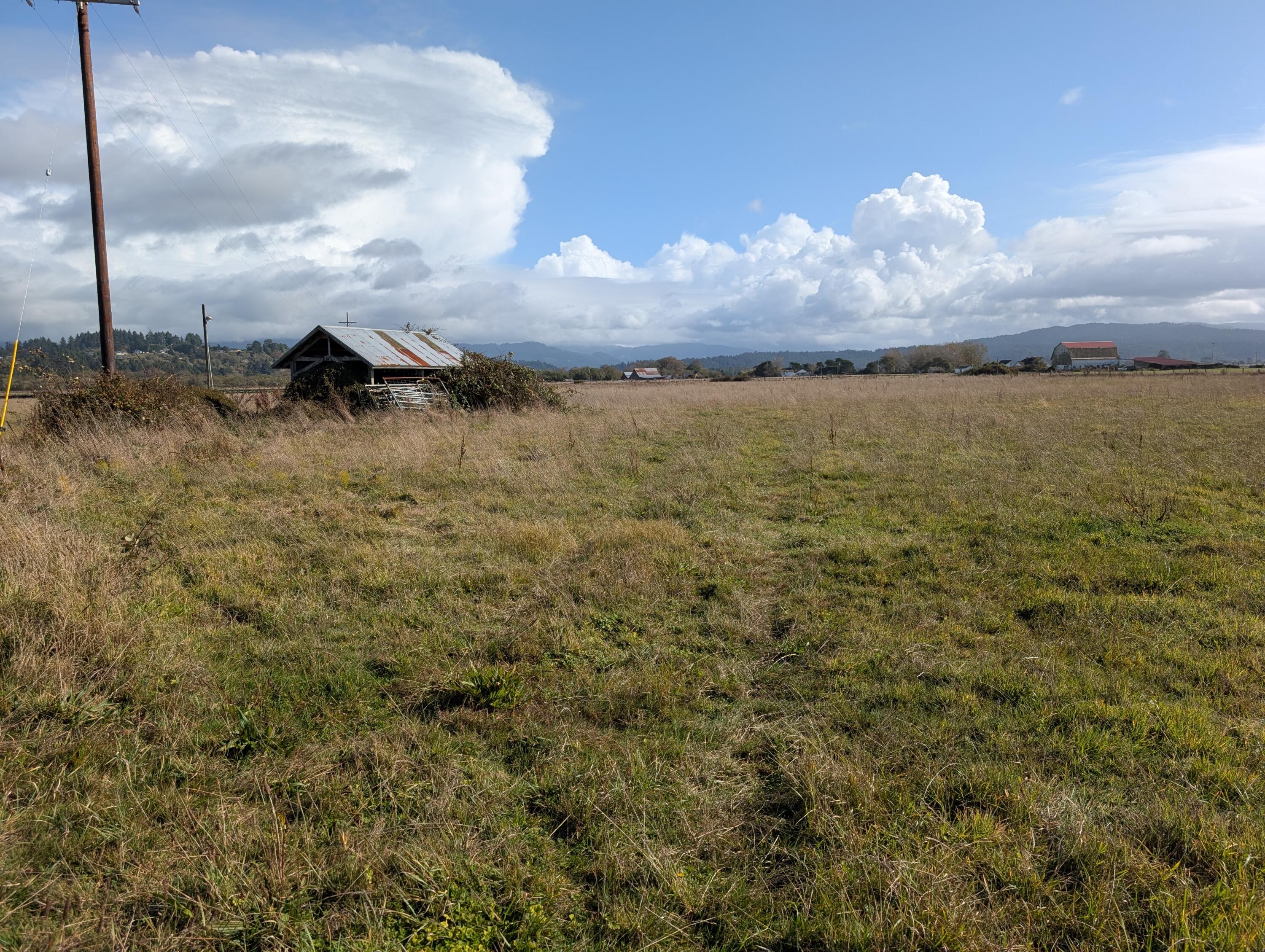 Arcata