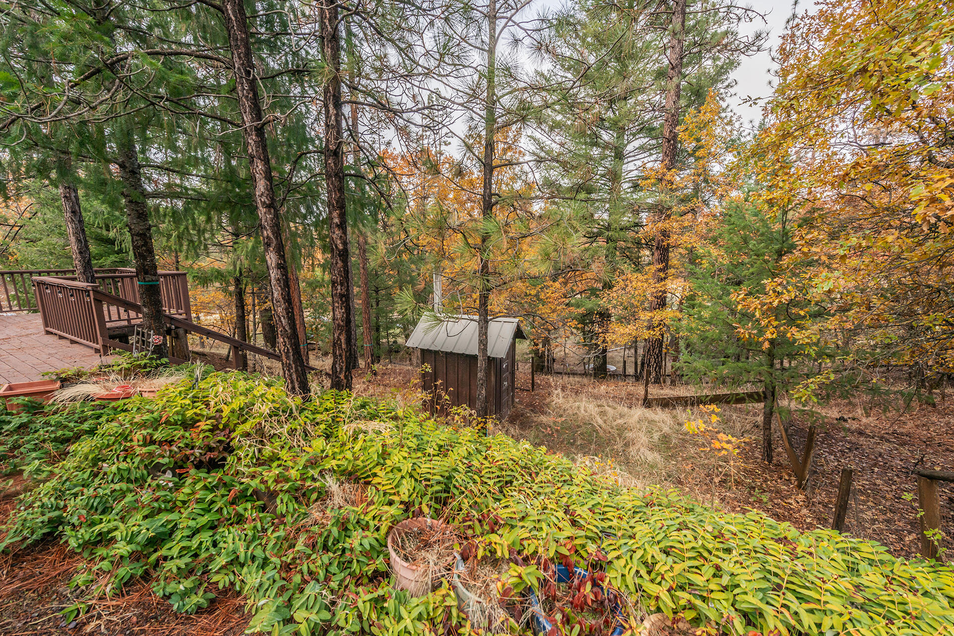 120 Ponderosa Lane