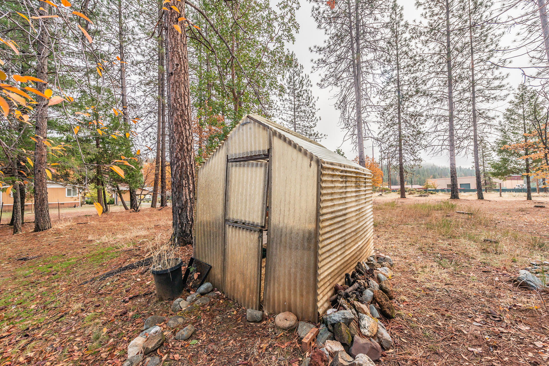 120 Ponderosa Lane