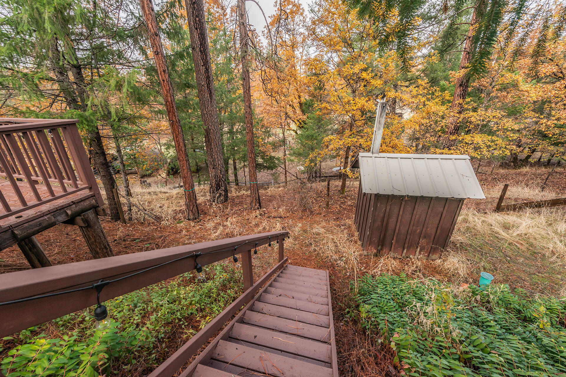 120 Ponderosa Lane