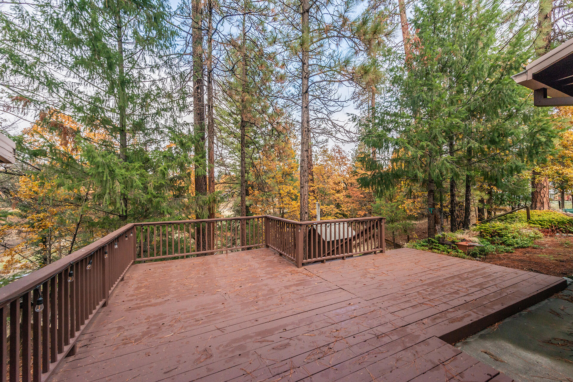 120 Ponderosa Lane