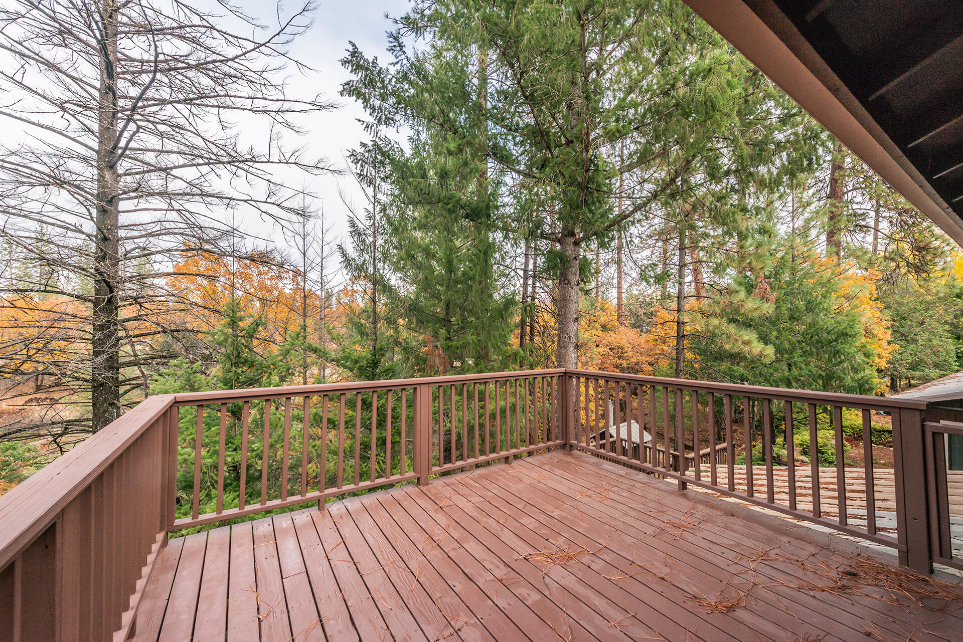 120 Ponderosa Lane