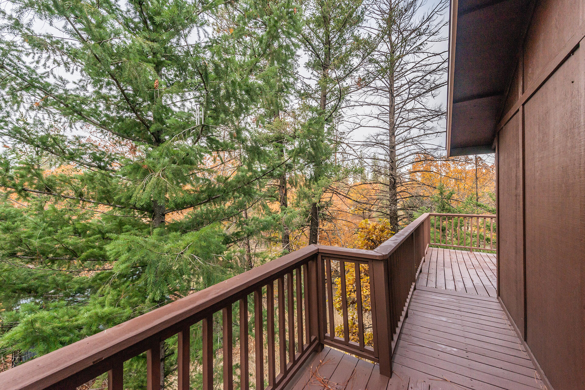 120 Ponderosa Lane
