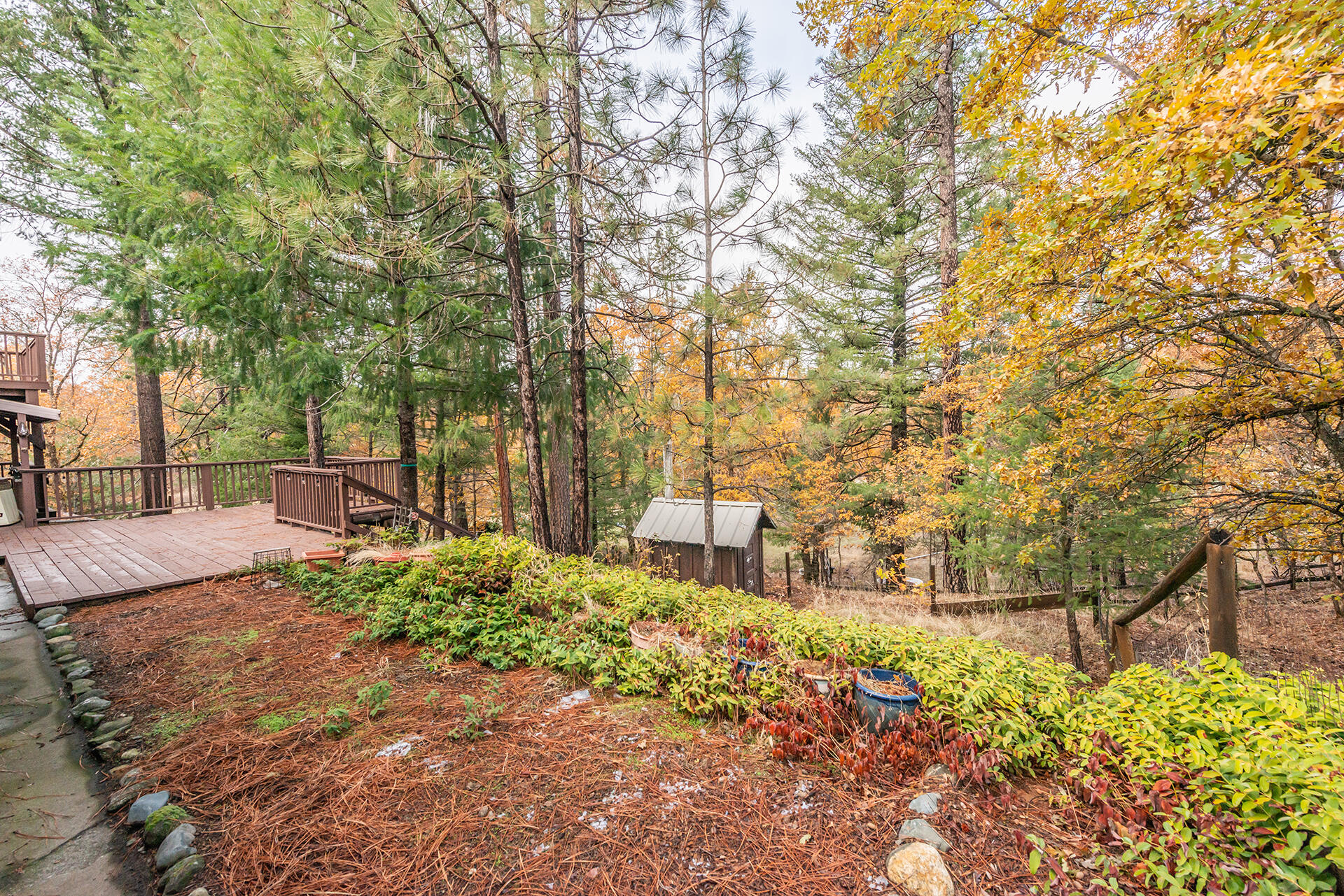 120 Ponderosa Lane