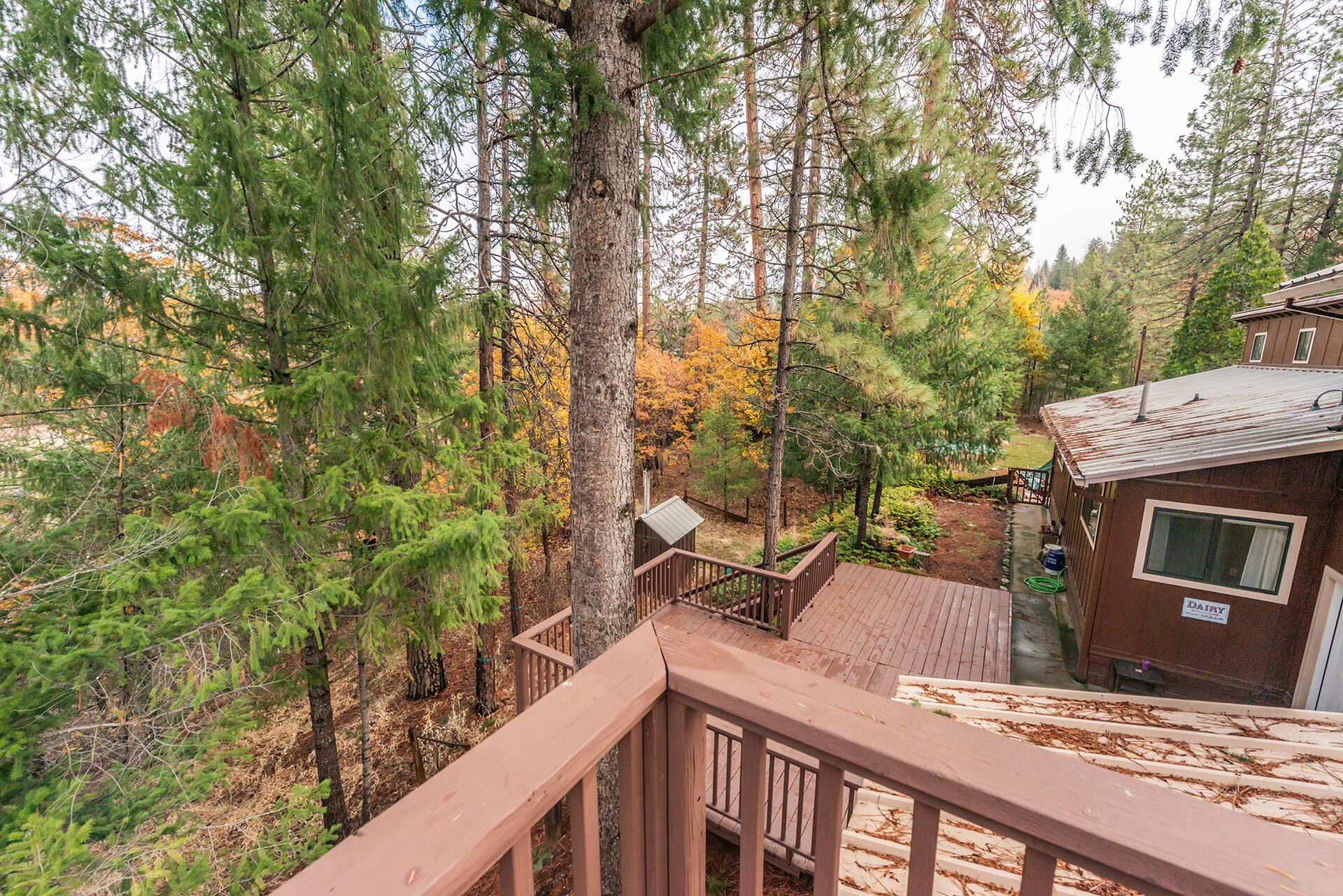 120 Ponderosa Lane