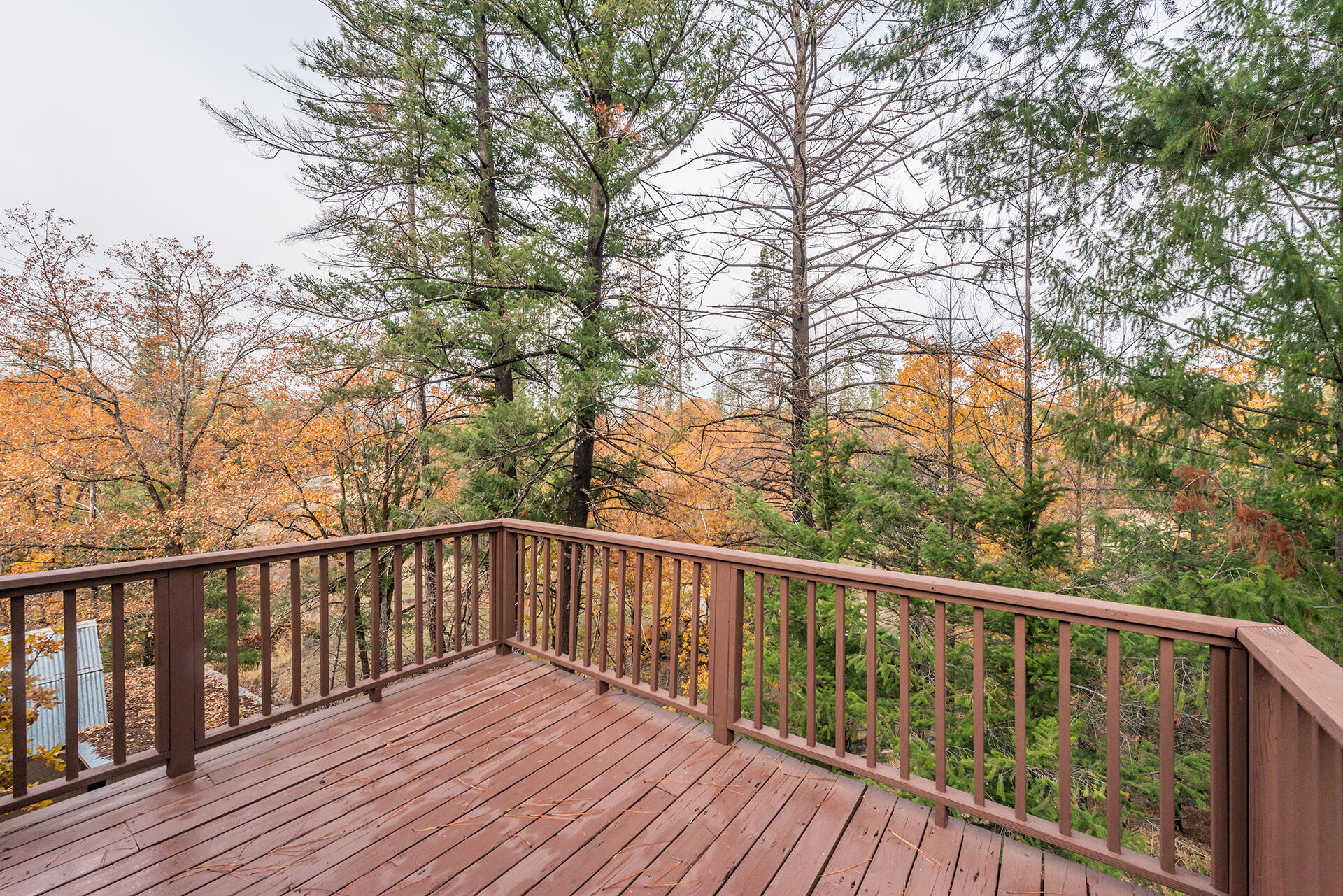 120 Ponderosa Lane