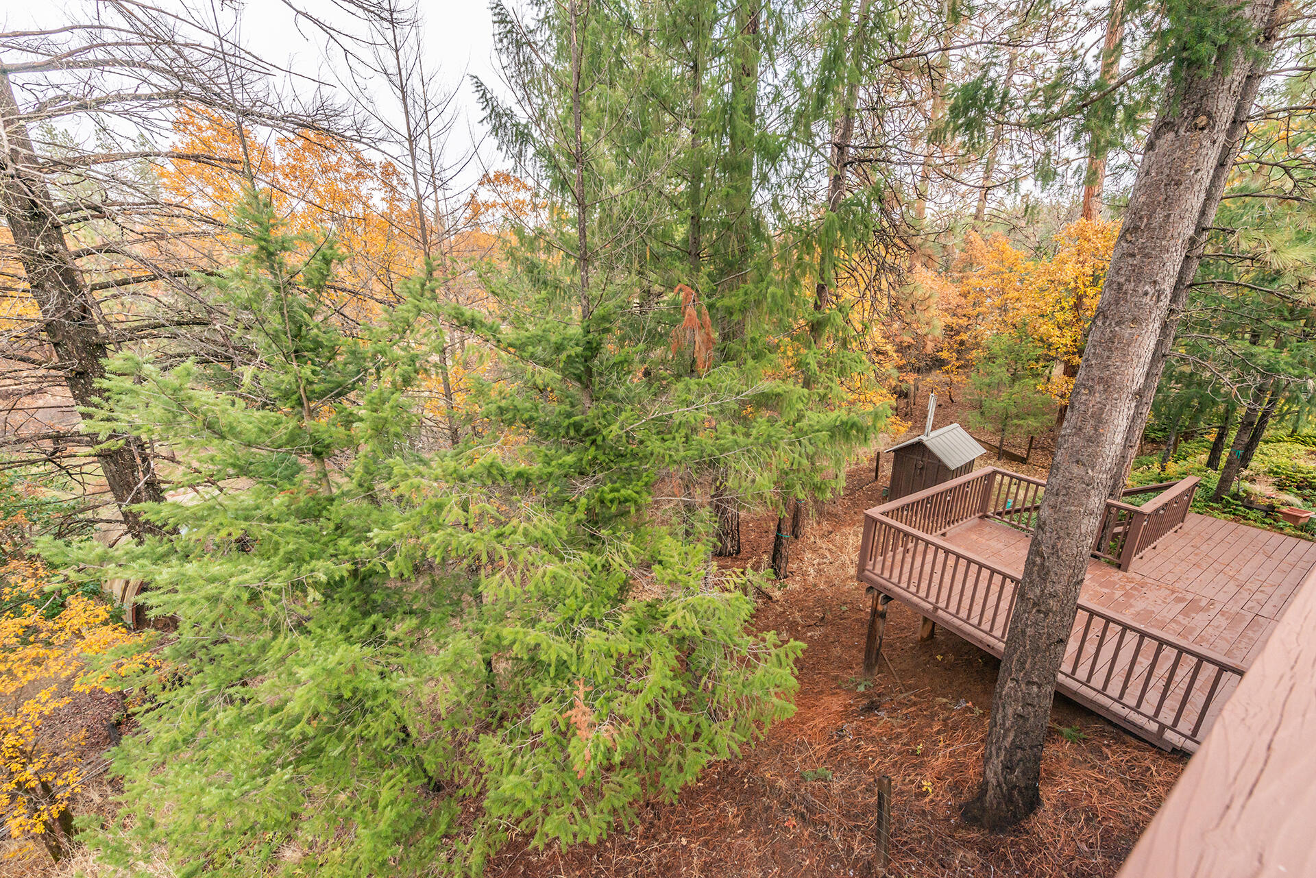 120 Ponderosa Lane