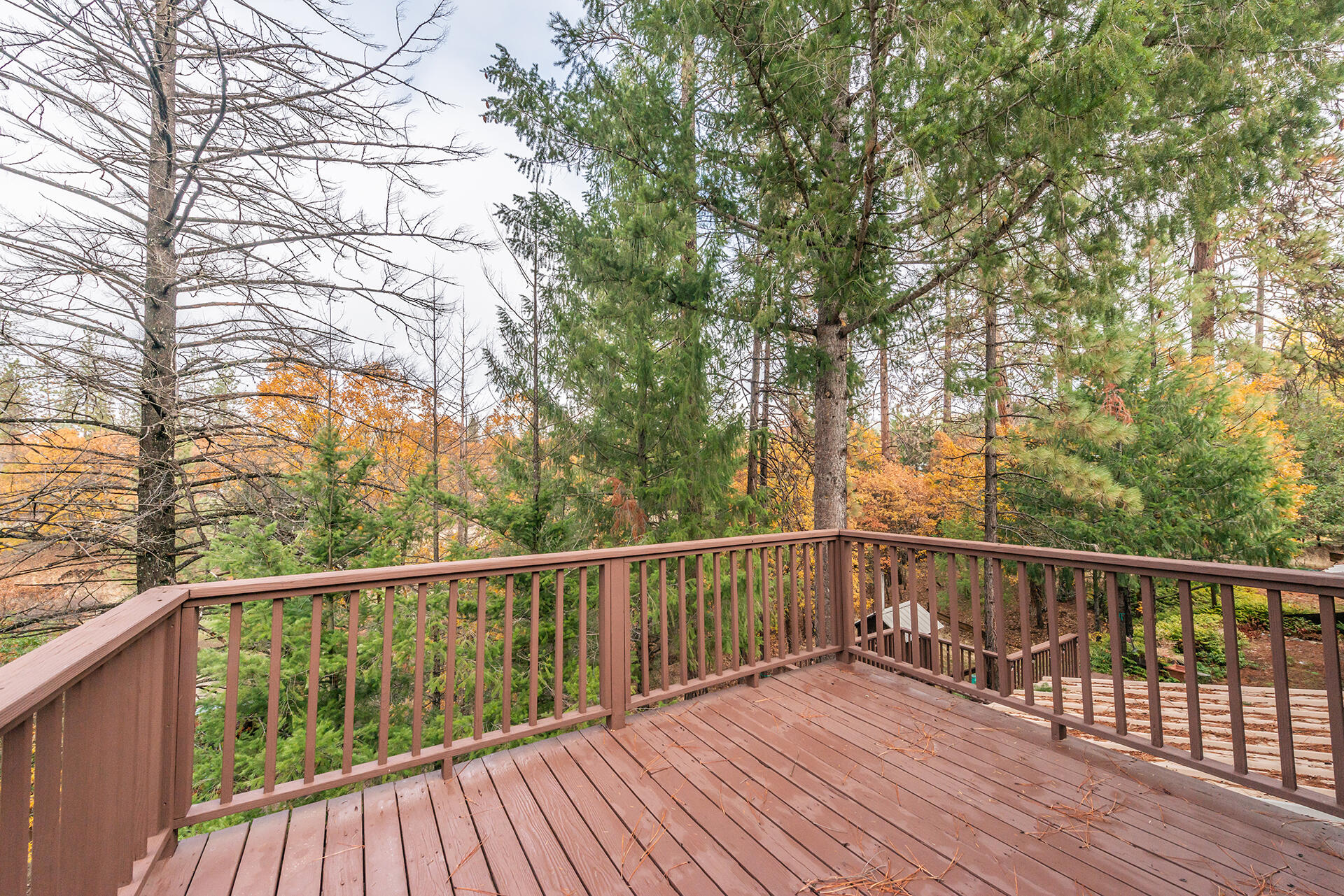120 Ponderosa Lane