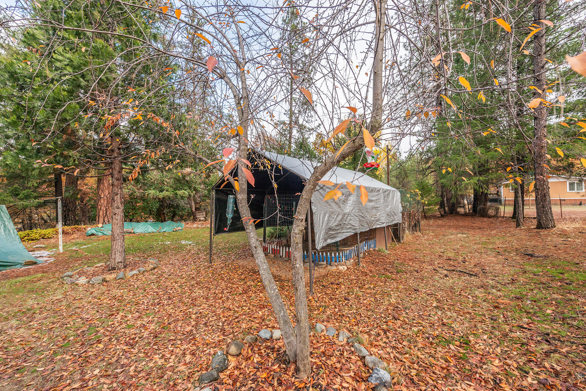 120 Ponderosa Lane