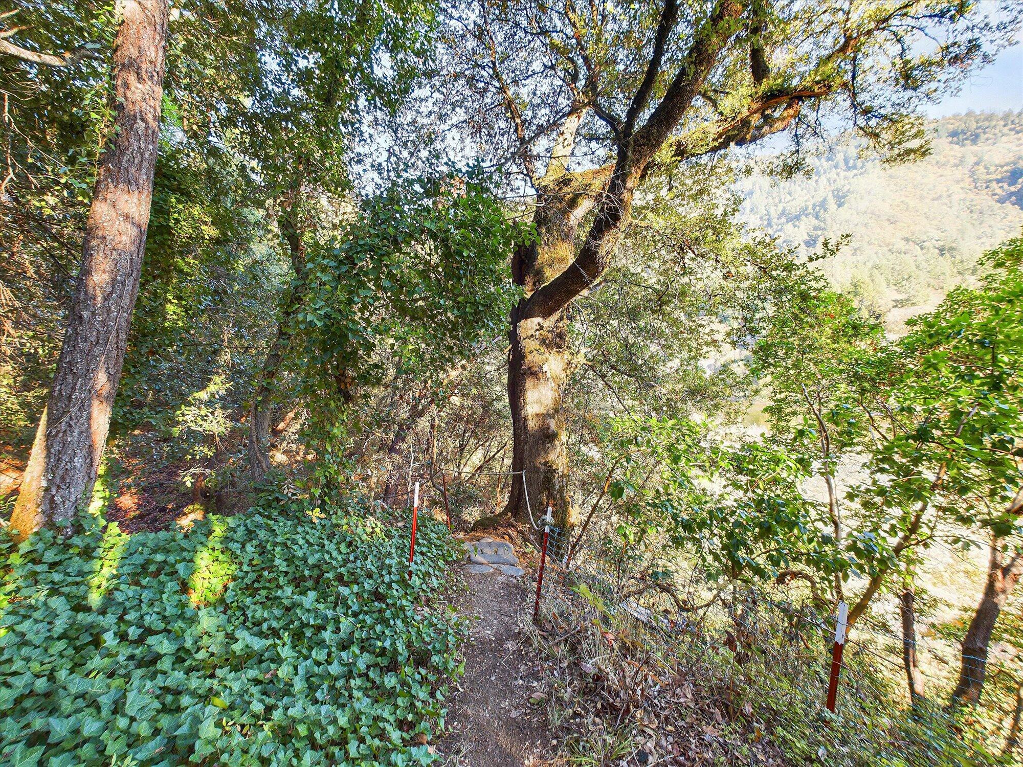 176 Trinity Acres Road