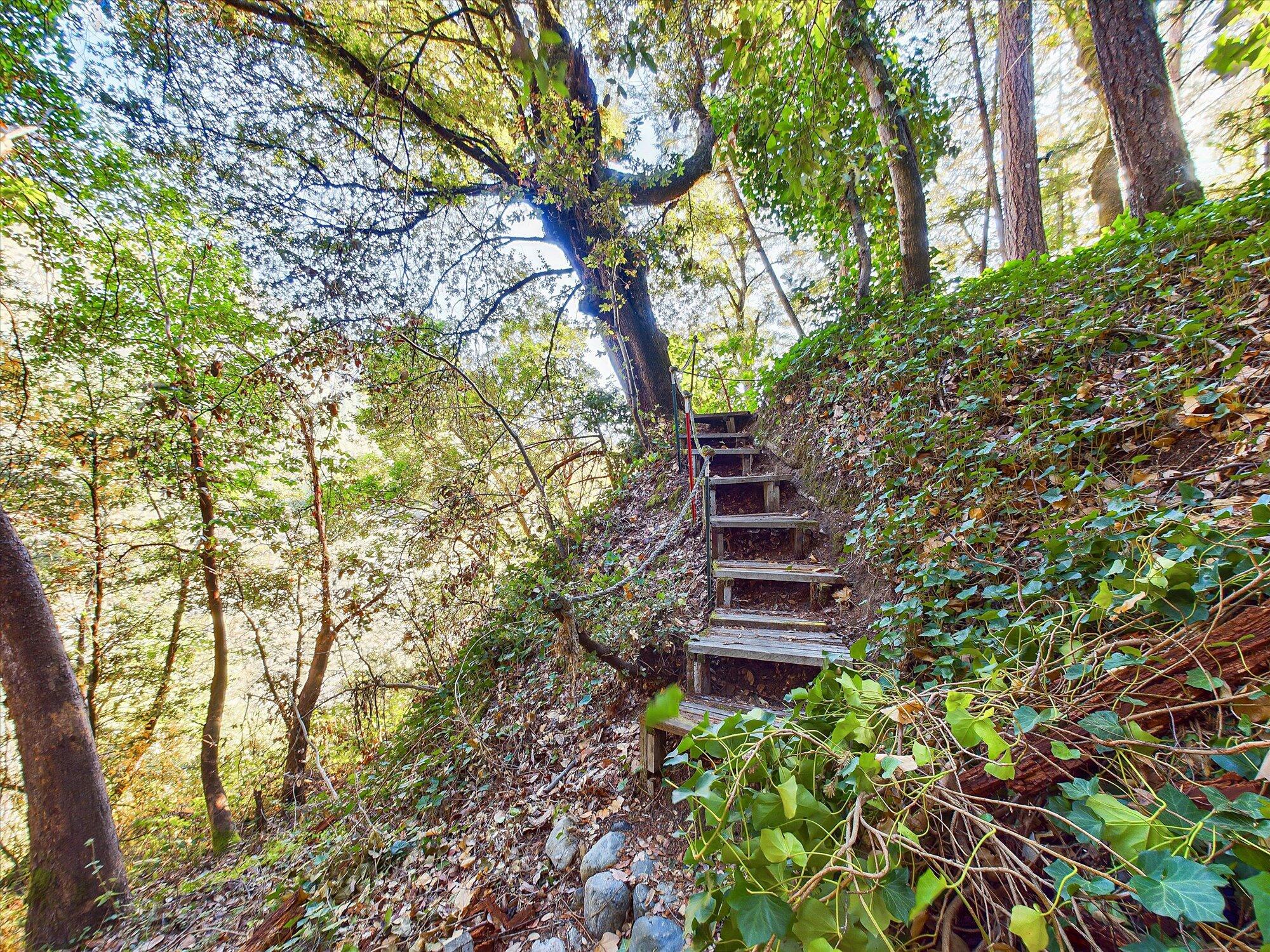 176 Trinity Acres Road