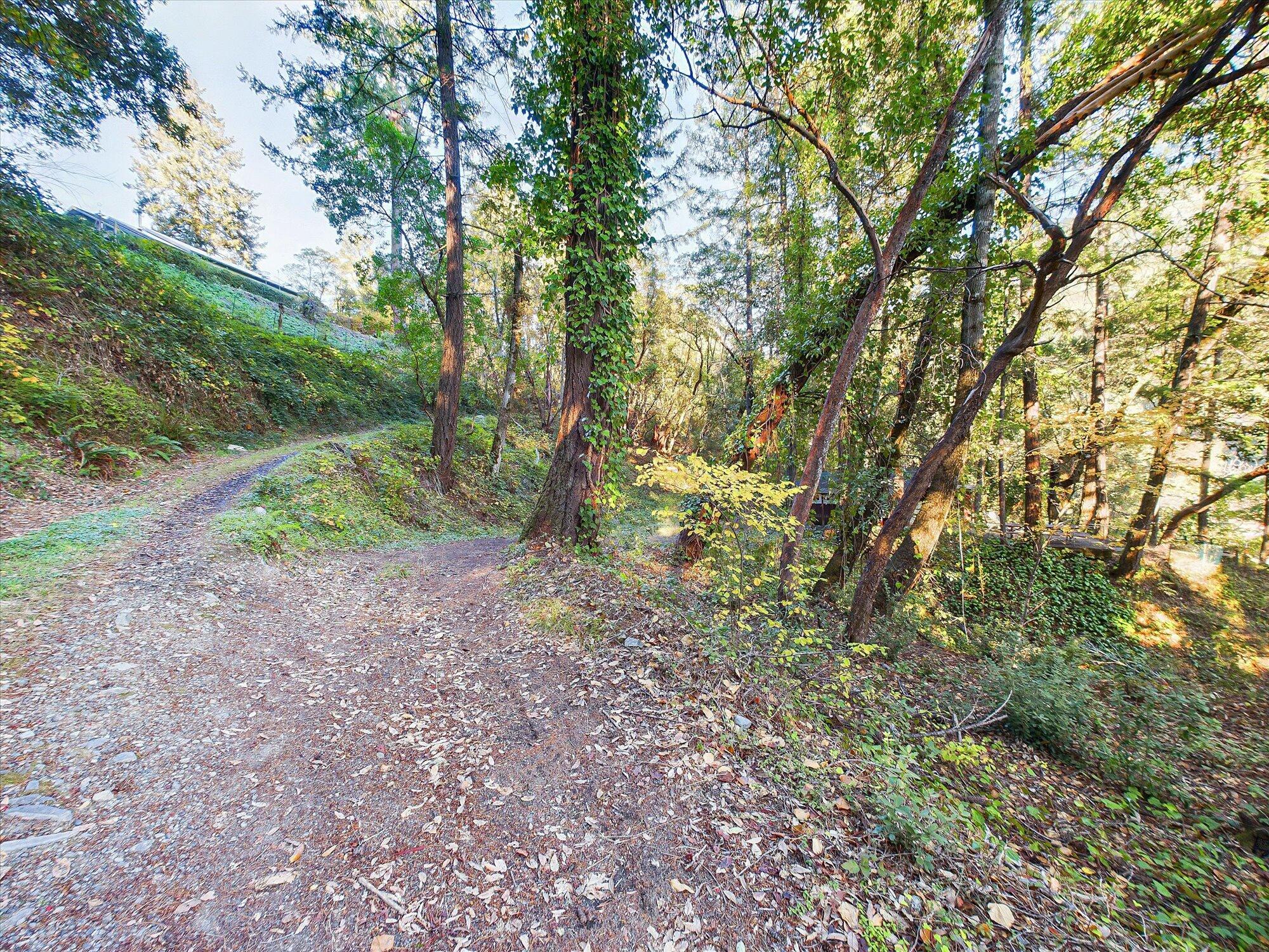 176 Trinity Acres Road