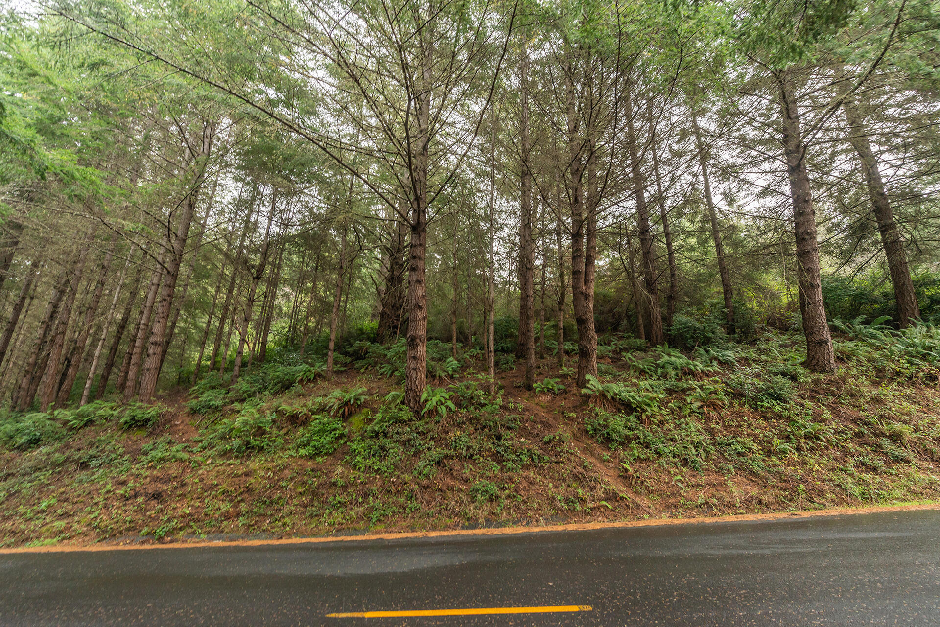694 Upper Pacific Drive